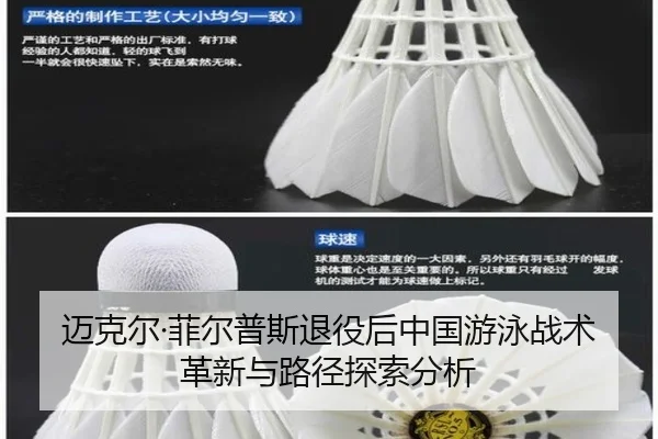 mai-ke-er-fei-er-pu-si-tui-yi-hou-zhong-guo-you-yong-zhan-shu-ge-xin-yu-lu-jing-tan-suo-fen-xi-2-925.jpg