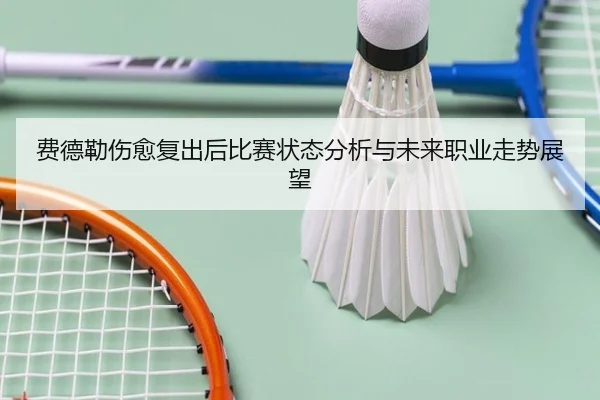 费德勒伤愈复出后比赛状态分析与未来职业走势展望
