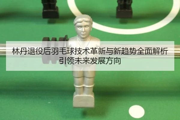 林丹退役后羽毛球技术革新与新趋势全面解析引领未来发展方向